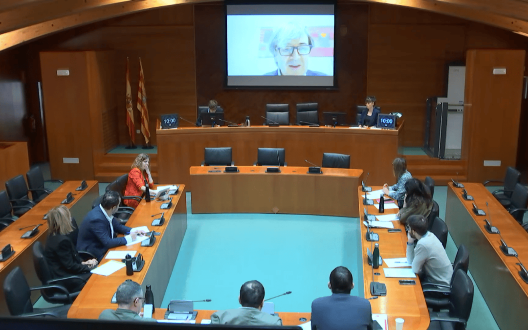 Comparecencia de PantallasAmigas ante la Comisión Especial De Estudio para reforzar la protección de la infancia y la adolescencia frente al impacto del uso de la tecnología en la Comunidad Autónoma de Aragón